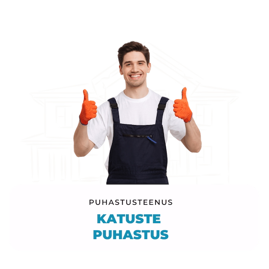 Katuste puhastus terve puhastus