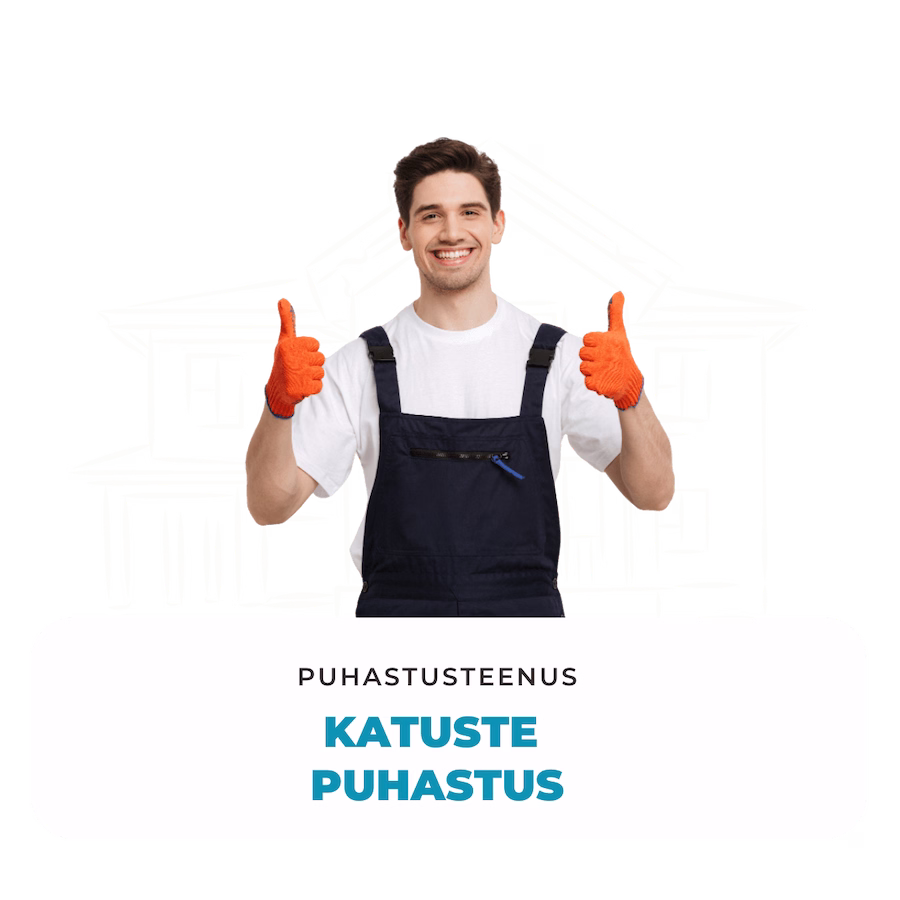 terve puhastus puhastusteenused katuse puhastus